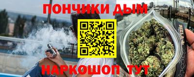 дмт Можга